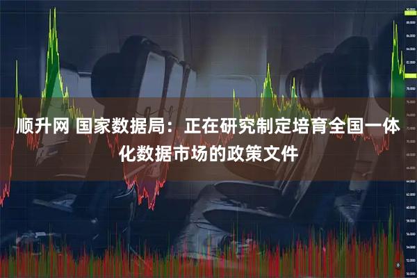 顺升网 国家数据局：正在研究制定培育全国一体化数据市场的政策文件