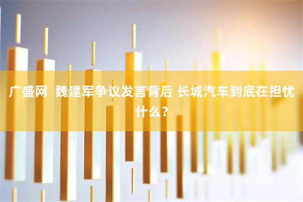 广盛网  魏建军争议发言背后 长城汽车到底在担忧什么？
