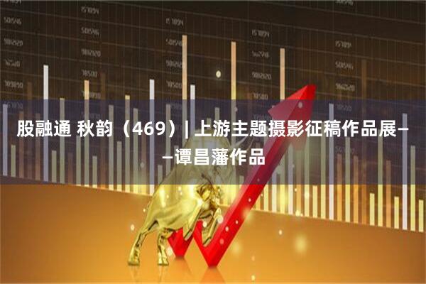 股融通 秋韵(469)| 上游主题摄影征稿作品展——谭昌藩作品