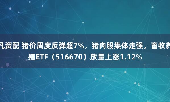 凡资配 猪价周度反弹超7%,猪肉股集体走强,畜牧养殖ETF(516670)放量上涨1.12%
