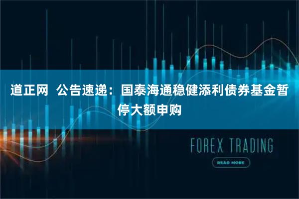 道正网 公告速递:国泰海通稳健添利债券基金暂停大额申购